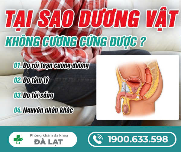 Hình ảnh minh họa